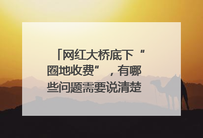 网红大桥底下“圈地收费”，有哪些问题需要说清楚｜新京报快评
