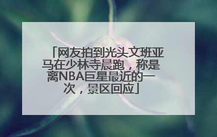 网友拍到光头文班亚马在少林寺晨跑，称是离NBA巨星最近的一次，景区回应