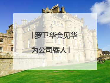 罗卫华会见华为公司客人