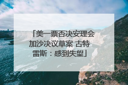 美一票否决安理会加沙决议草案 古特雷斯：感到失望