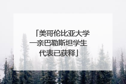 美哥伦比亚大学一亲巴勒斯坦学生代表已获释