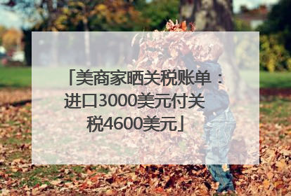 美商家晒关税账单：进口3000美元付关税4600美元