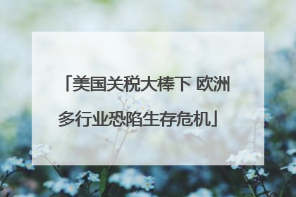 美国关税大棒下 欧洲多行业恐陷生存危机