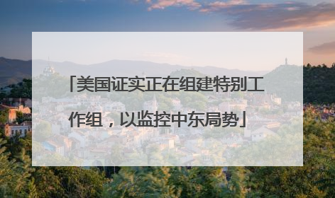 美国证实正在组建特别工作组，以监控中东局势