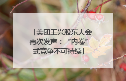 美团王兴股东大会再次发声：“内卷”式竞争不可持续