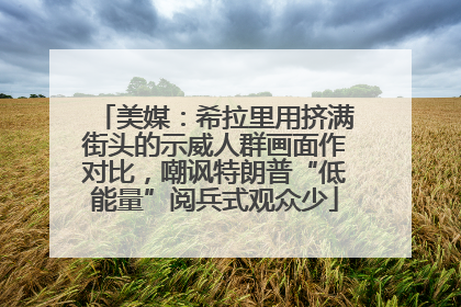 美媒：希拉里用挤满街头的示威人群画面作对比，嘲讽特朗普“低能量”阅兵式观众少
