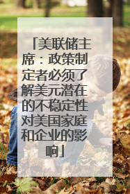 美联储主席：政策制定者必须了解美元潜在的不稳定性对美国家庭和企业的影响