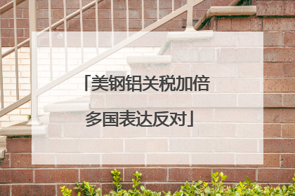 美钢铝关税加倍 多国表达反对
