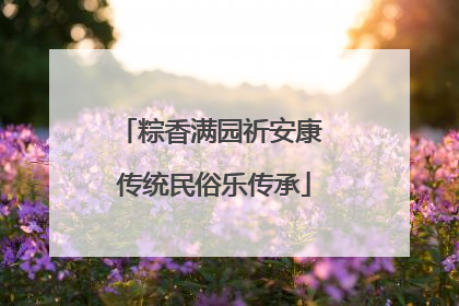粽香满园祈安康 传统民俗乐传承