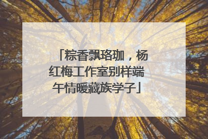 粽香飘珞珈，杨红梅工作室别样端午情暖藏族学子