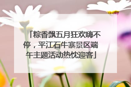 粽香飘五月狂欢嗨不停，平江石牛寨景区端午主题活动热忱迎客