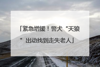 紧急增援！警犬“天狼”出动找到走失老人