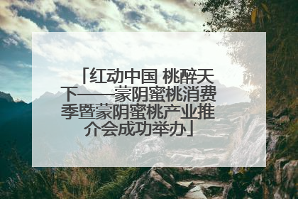 红动中国 桃醉天下——蒙阴蜜桃消费季暨蒙阴蜜桃产业推介会成功举办