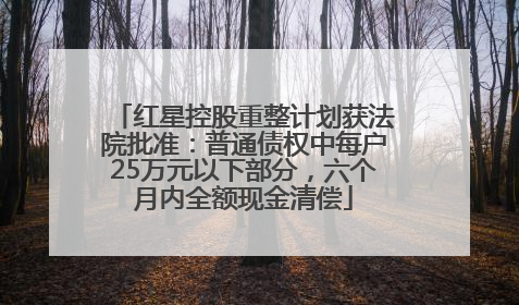 红星控股重整计划获法院批准：普通债权中每户25万元以下部分，六个月内全额现金清偿