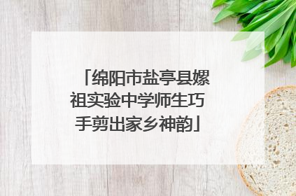 绵阳市盐亭县嫘祖实验中学师生巧手剪出家乡神韵