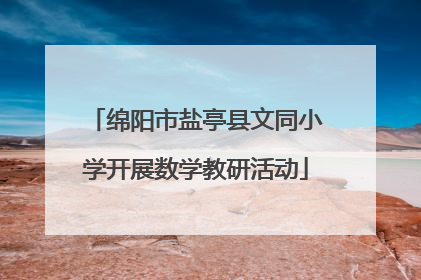 绵阳市盐亭县文同小学开展数学教研活动
