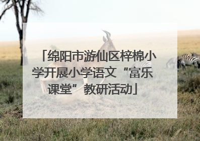 绵阳市游仙区梓棉小学开展小学语文“富乐课堂”教研活动
