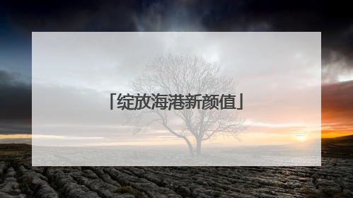 绽放海港新颜值