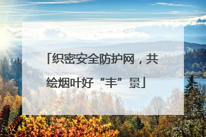 织密安全防护网，共绘烟叶好“丰”景
