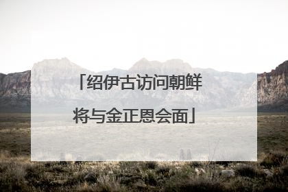 绍伊古访问朝鲜 将与金正恩会面