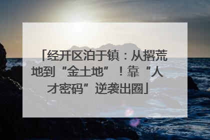经开区泊于镇：从撂荒地到“金土地”！靠“人才密码”逆袭出圈