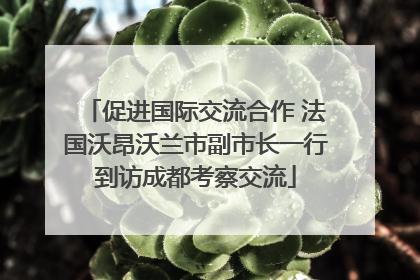 促进国际交流合作 法国沃昂沃兰市副市长一行到访成都考察交流