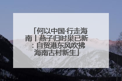 何以中国·行走海南丨燕子归时巢已新：自贸港东风吹拂 海南古村新生
