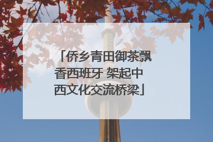 侨乡青田御茶飘香西班牙 架起中西文化交流桥梁