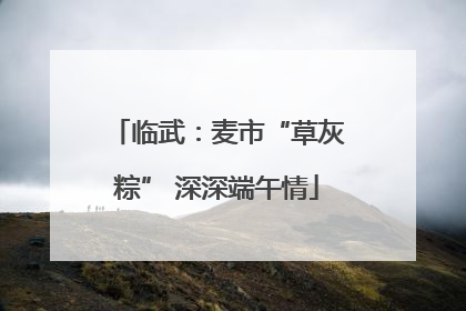 临武：麦市“草灰粽” 深深端午情