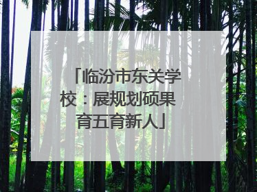 临汾市东关学校：展规划硕果 育五育新人