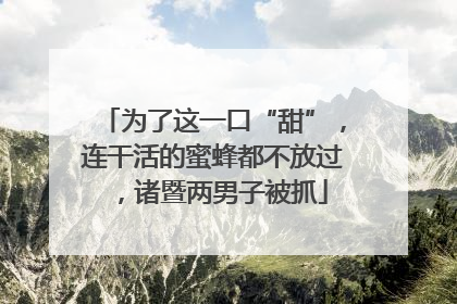 为了这一口“甜”，连干活的蜜蜂都不放过，诸暨两男子被抓