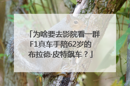 为啥要去影院看一群F1真车手陪62岁的布拉德·皮特飙车？