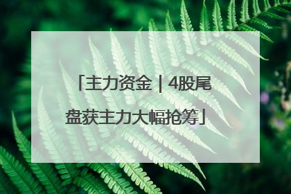 主力资金｜4股尾盘获主力大幅抢筹