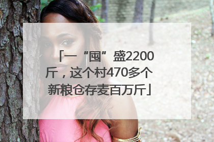 一“囤”盛2200斤，这个村470多个新粮仓存麦百万斤