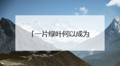 一片绿叶何以成为乡村振兴“金叶”