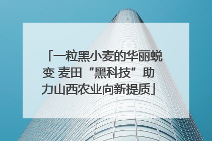 一粒黑小麦的华丽蜕变 麦田“黑科技”助力山西农业向新提质