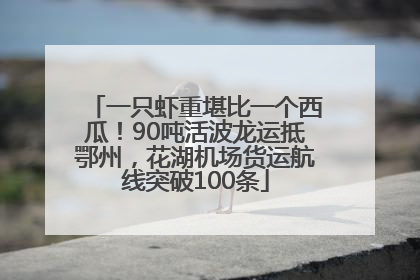 一只虾重堪比一个西瓜！90吨活波龙运抵鄂州，花湖机场货运航线突破100条