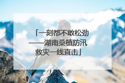 一刻都不敢松劲——湖南桑植防汛救灾一线直击