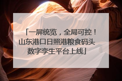 一屏统览，全局可控！山东港口日照港粮食码头数字孪生平台上线