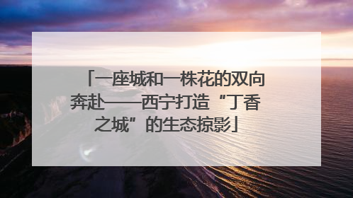 一座城和一株花的双向奔赴——西宁打造“丁香之城”的生态掠影