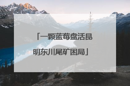 一颗蓝莓盘活昆明东川尾矿困局