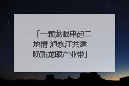 一颗龙眼串起三地情 泸永江共建晚熟龙眼产业带