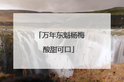 万年东魁杨梅 酸甜可口