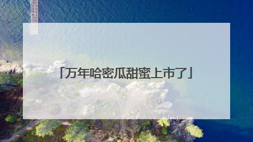 万年哈密瓜甜蜜上市了