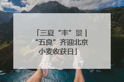 三夏“丰”景｜“五良”齐迎北京小麦收获日