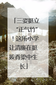 三姿挺立“正气竹”！这所小学让清廉在挺拔脊梁中生长