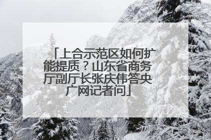 上合示范区如何扩能提质？山东省商务厅副厅长张庆伟答央广网记者问