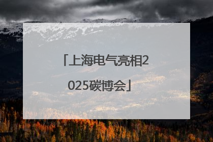 上海电气亮相2025碳博会