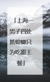 上海一男子四处抓蟑螂只为吃霸王餐