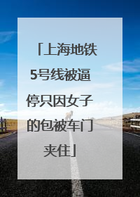 上海地铁5号线被逼停只因女子的包被车门夹住